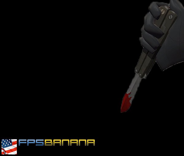 Bloody knife