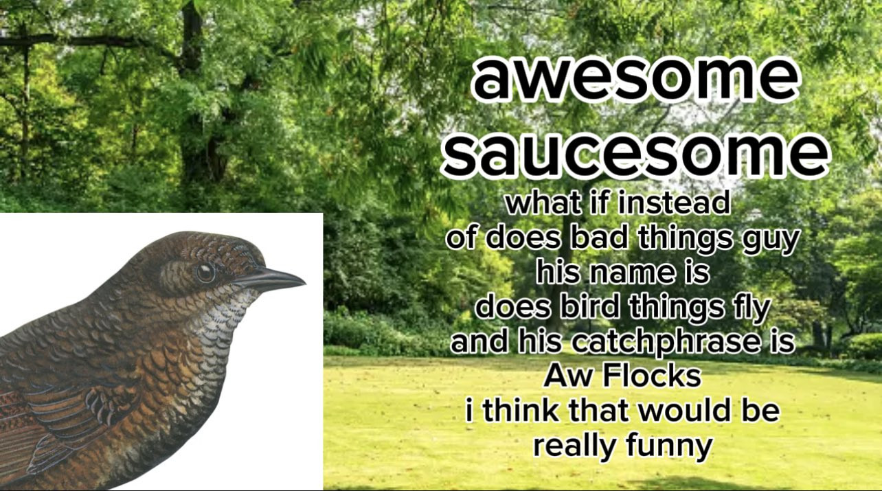 awesome saucesome - Bird.EXE (FANMADE)