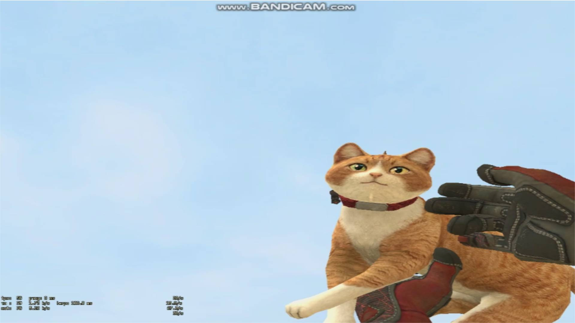 Special Force 2 Cat Gun For Counter-Strike: Source