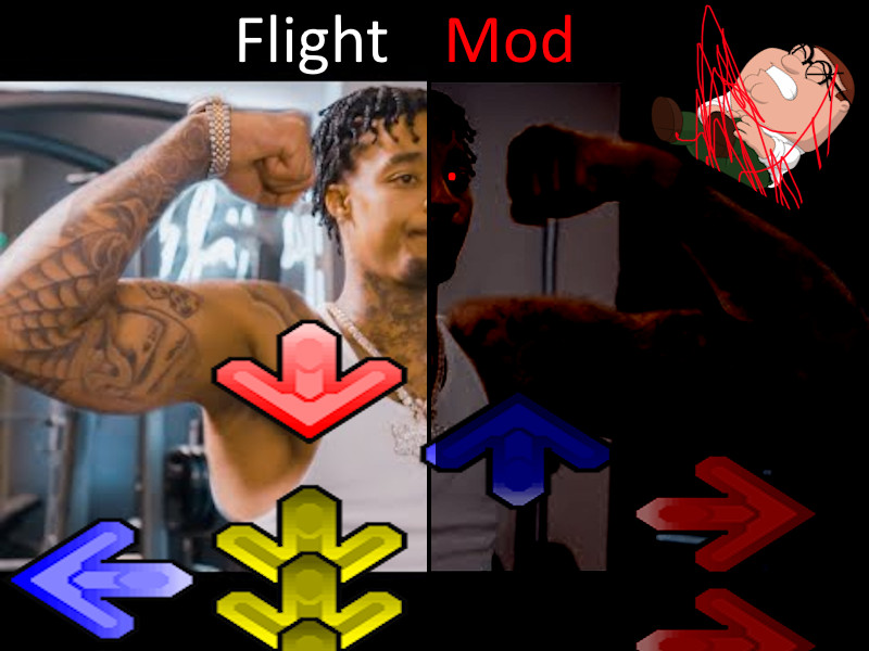 Vs Flight V1