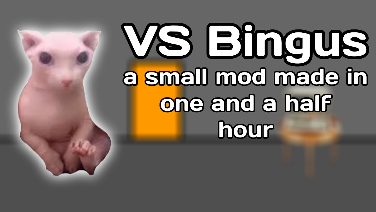 Friday Night Funkin' VS Bingus