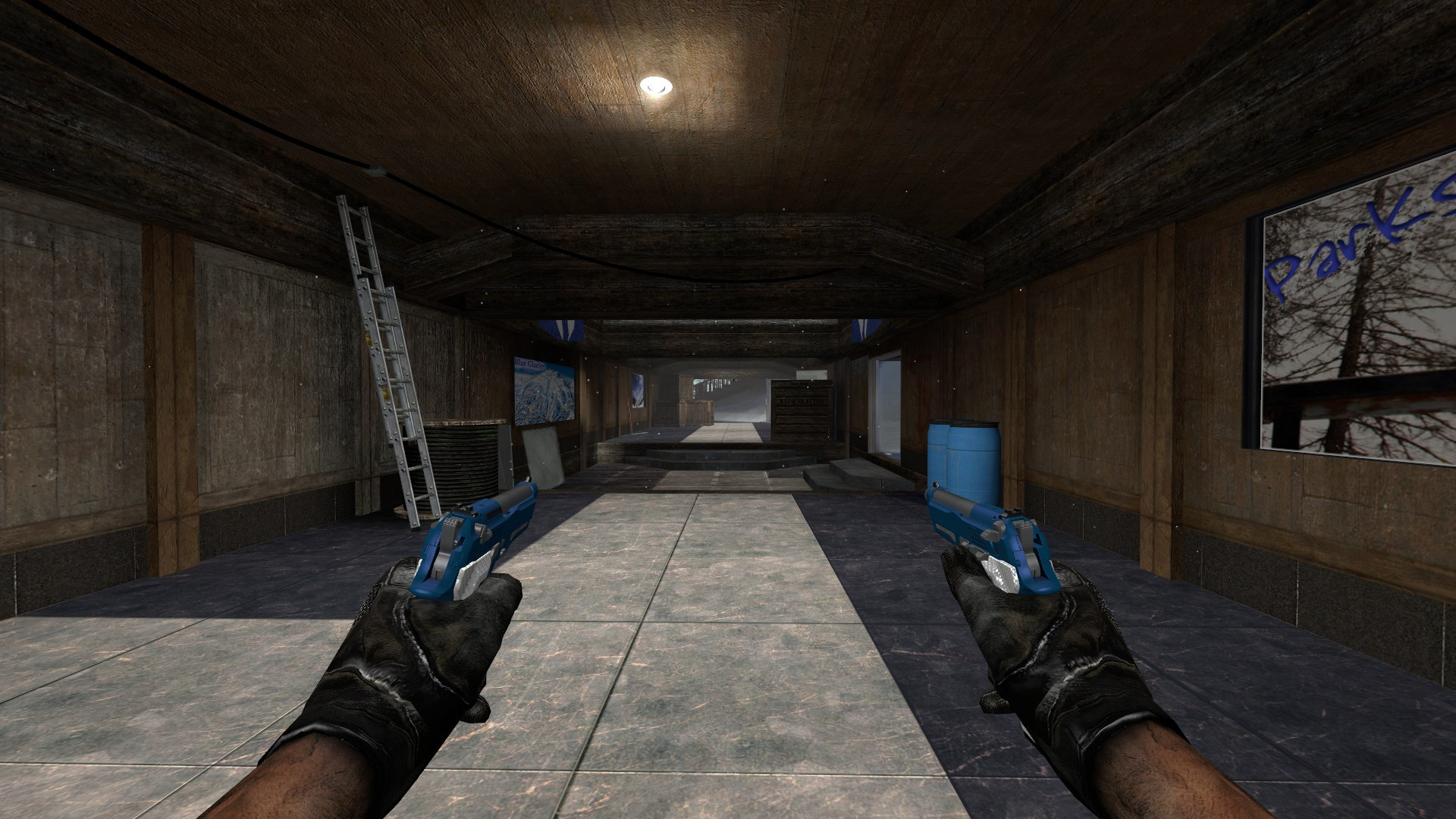 Black and Blue Dualies on CafeRev's anims Mod for Counter-Strike ...