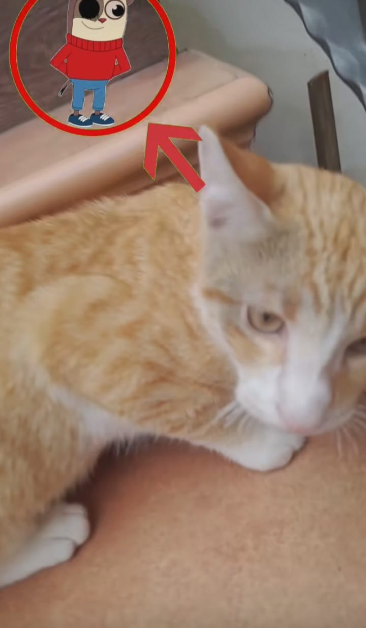 Twiddlecats