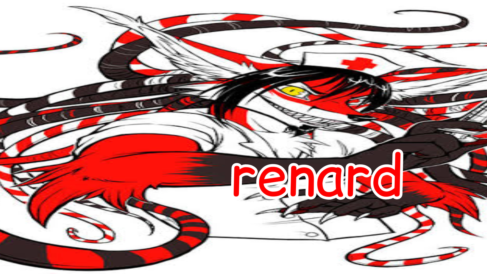 VS RENARD