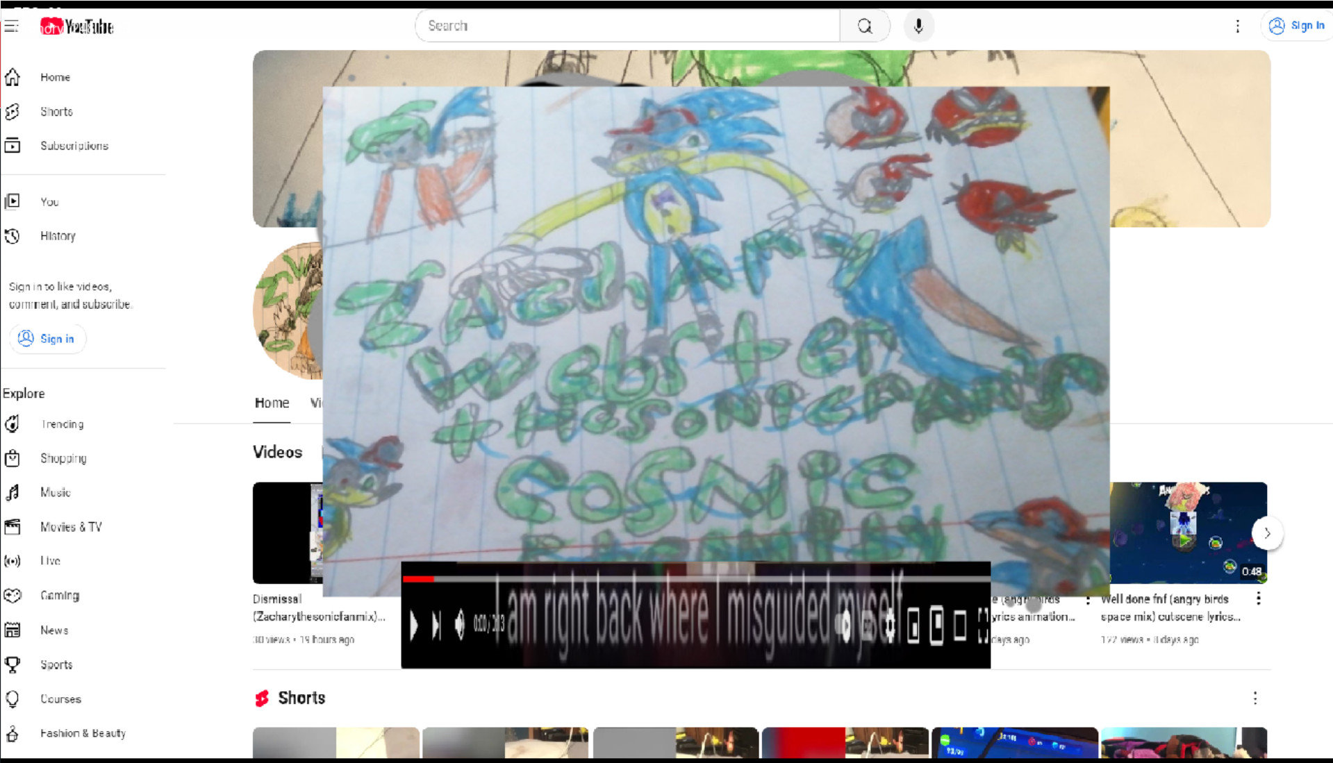 zacharywebsterthesonicfan's cosmic eternity