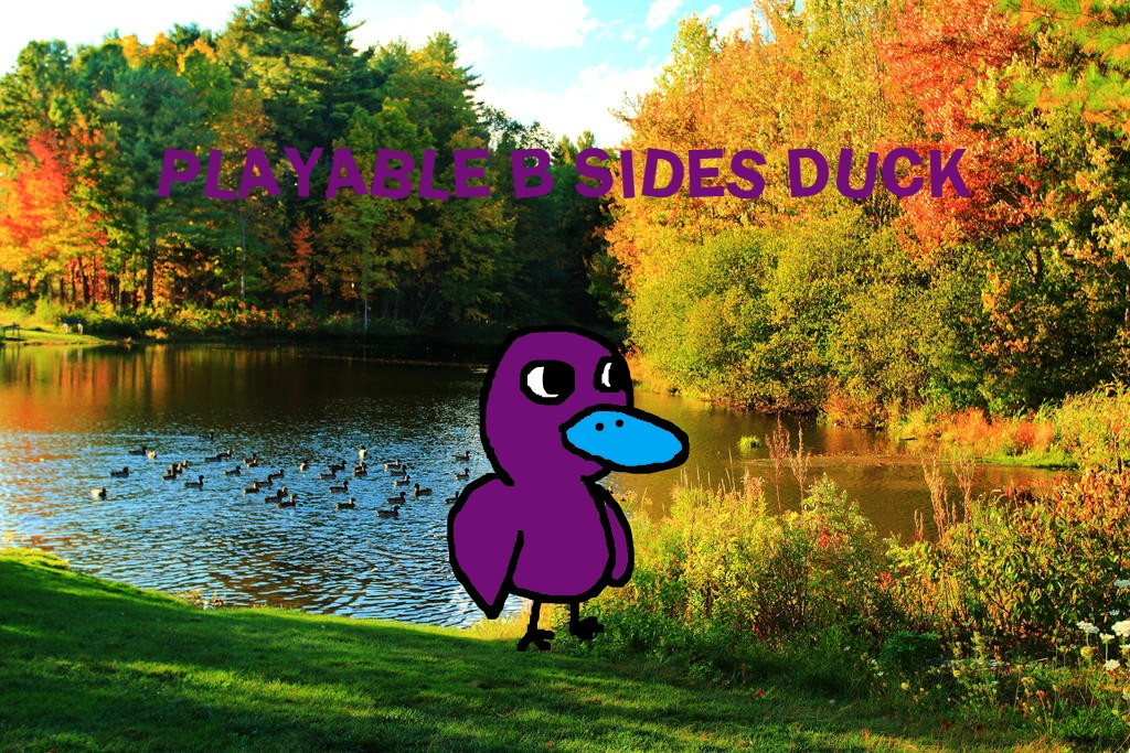 Playable B Sides Duck