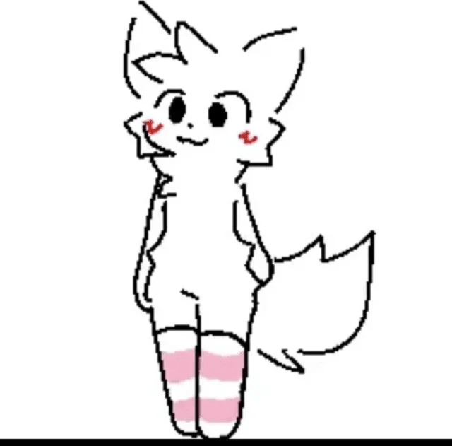 vs silly cat furry