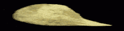 chip.gif