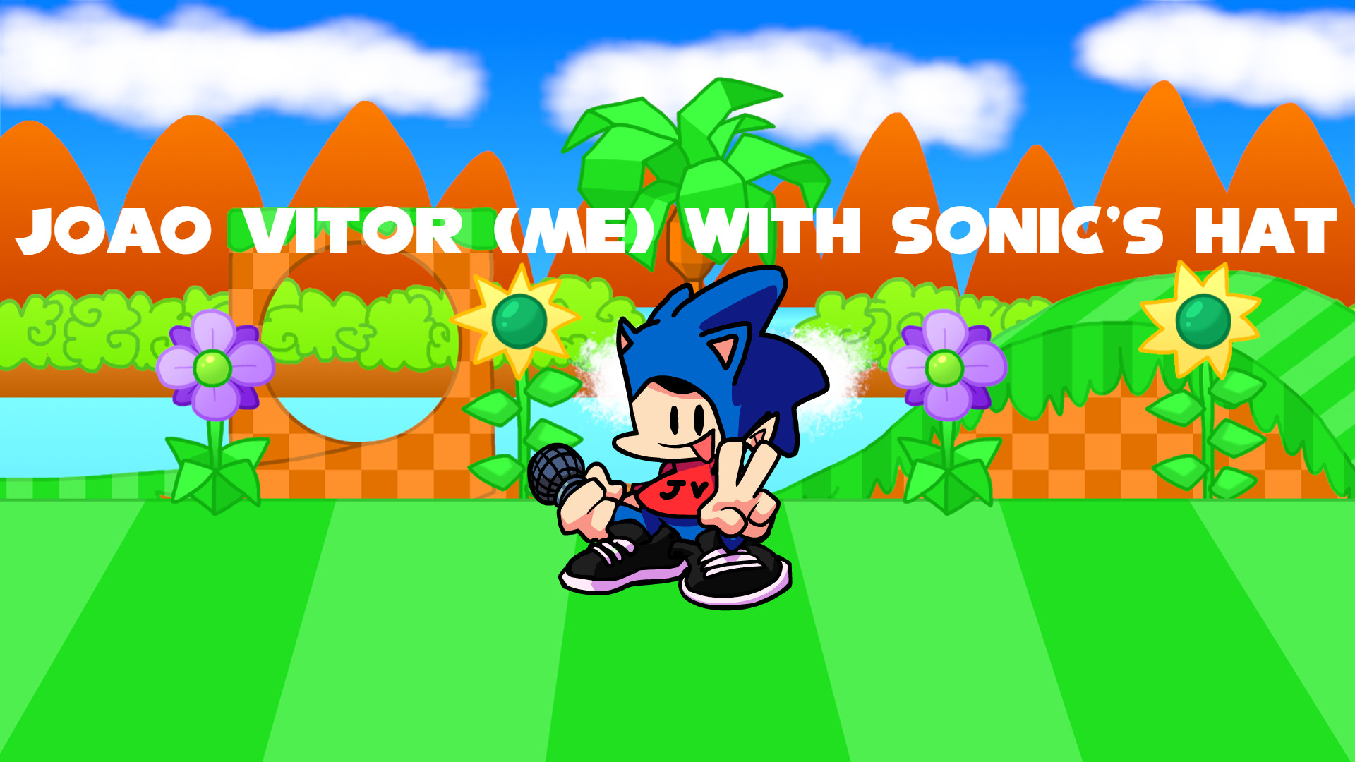 João Vitor (Me) With Sonic's Hat + FLA