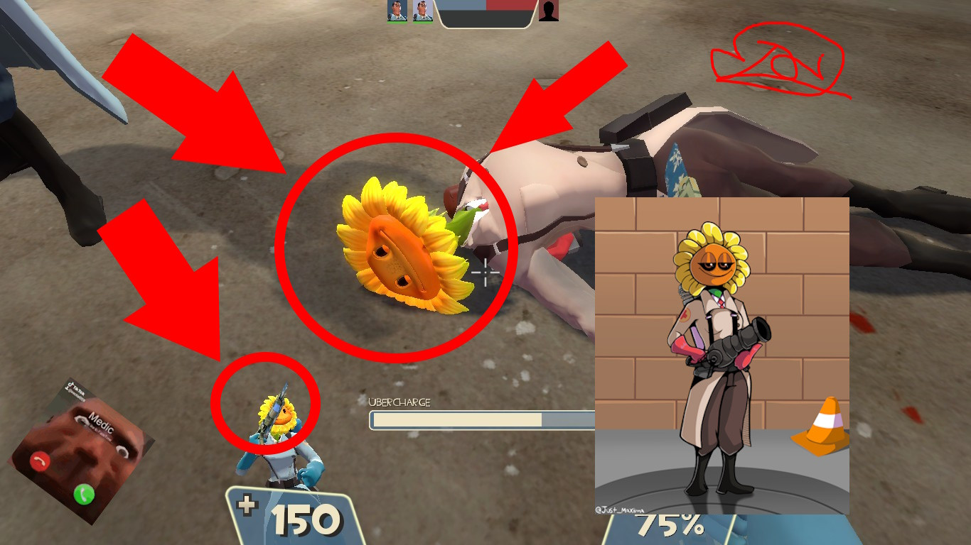 PVZ Sunflower Female Medic and Buff V2