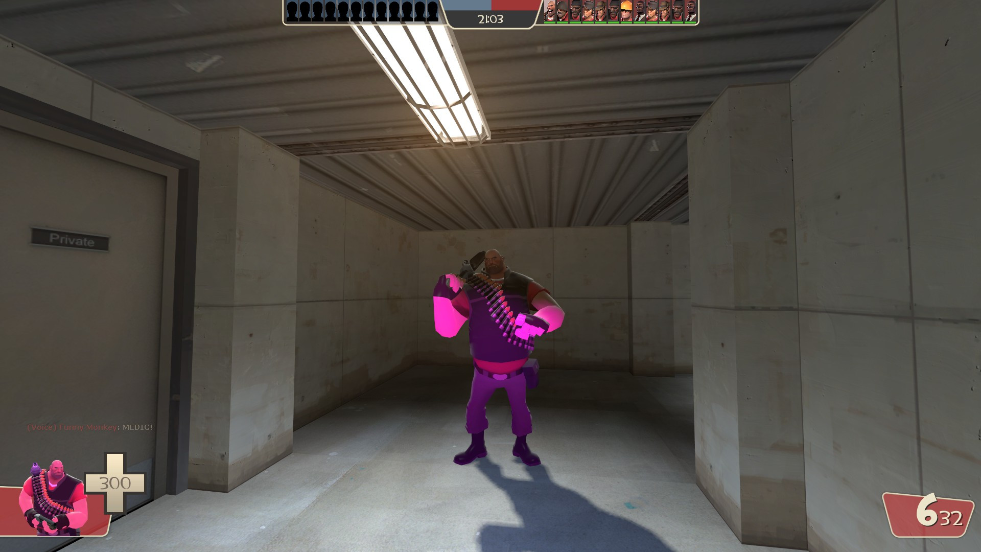 kinda like a purple francis lightwarp