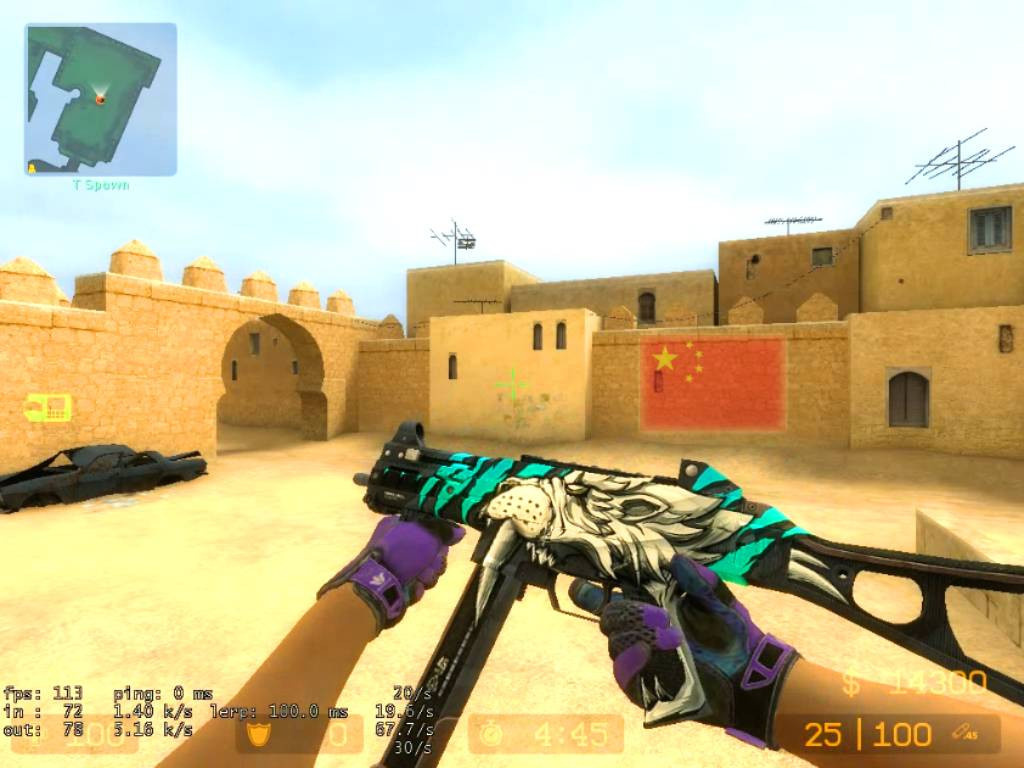 CSGO Perfect World Skin's