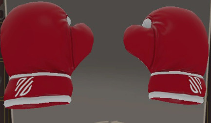 Sanabul Gloves (CASUAL 2025)