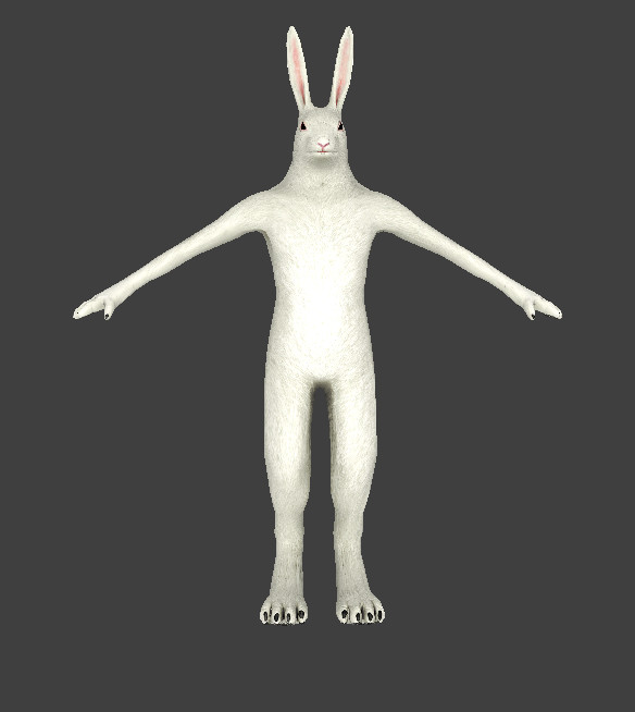 Rabbit PM Mod for Counter-Strike: Source | CS:S Mods