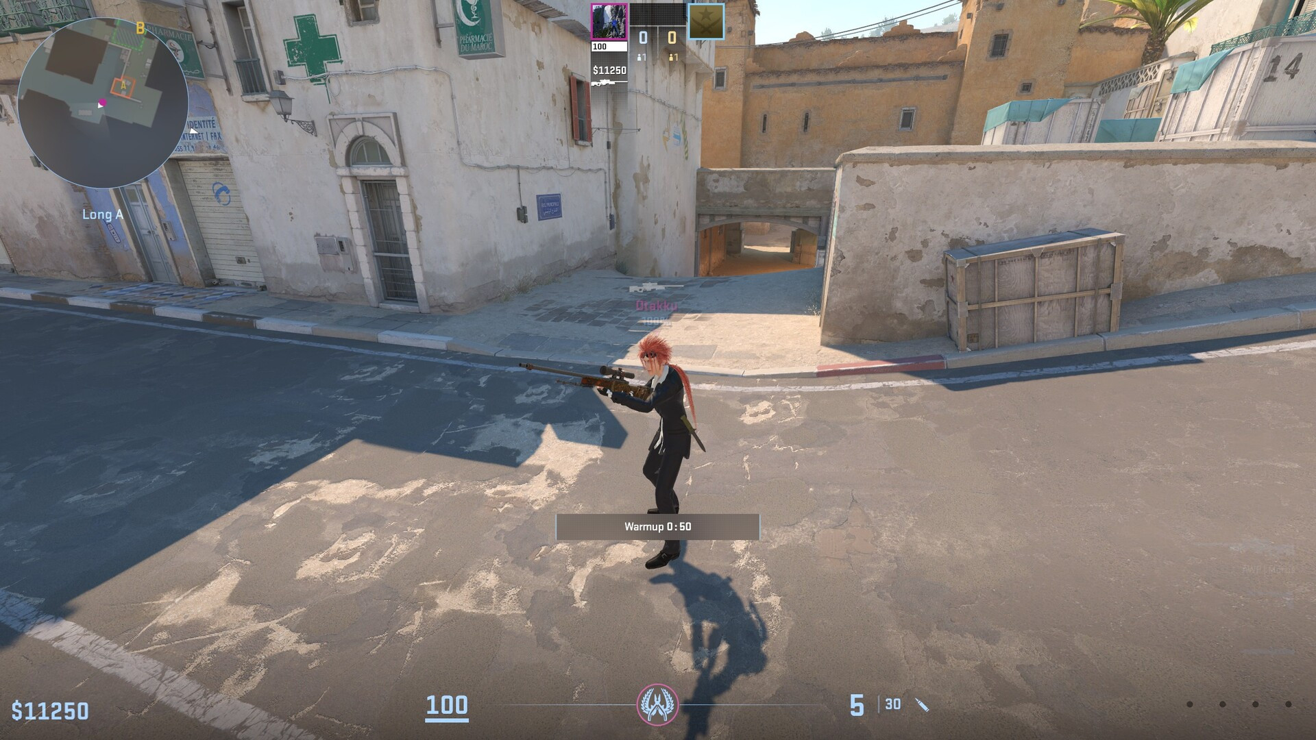 Reno player Mod for Counter-Strike 2 | CS2 Mods