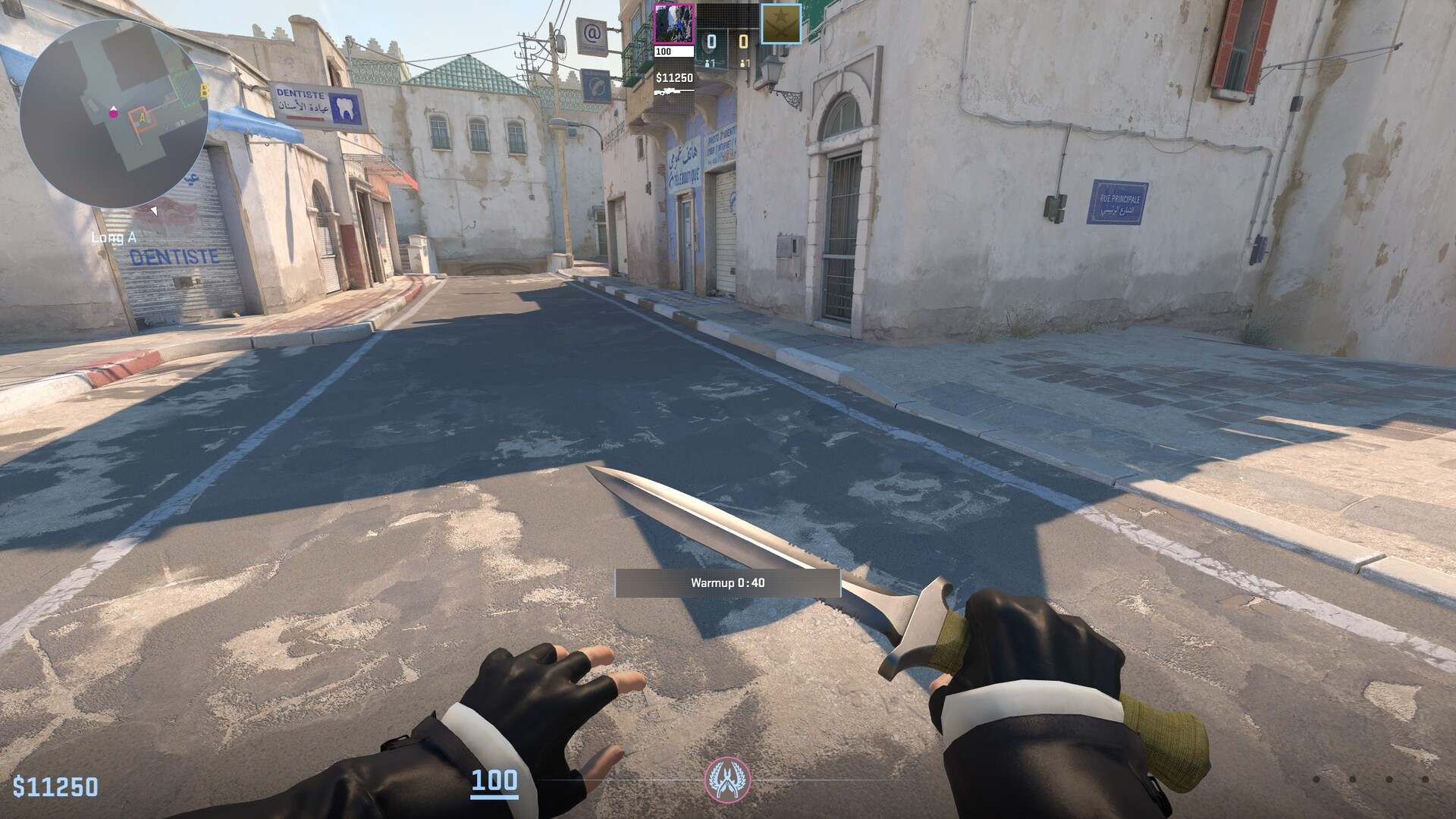 Reno player Mod for Counter-Strike 2 | CS2 Mods