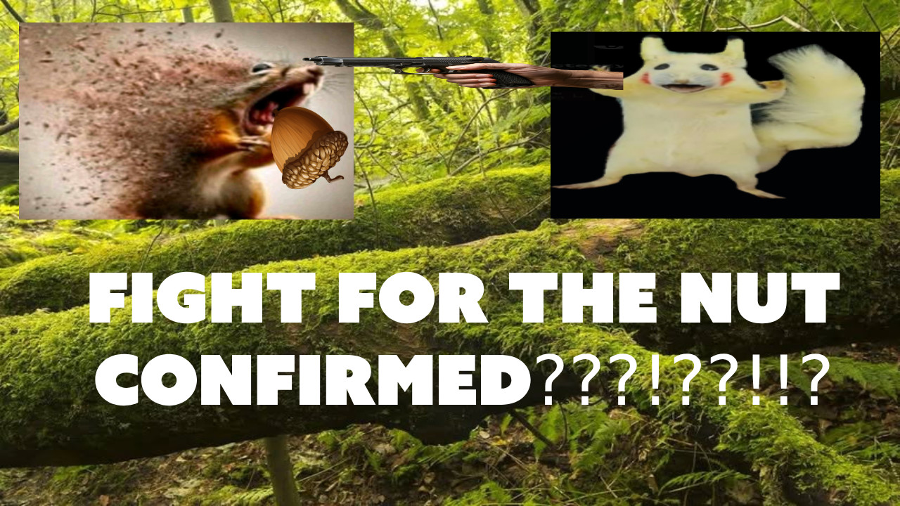 FNF: Fight For The Nuts