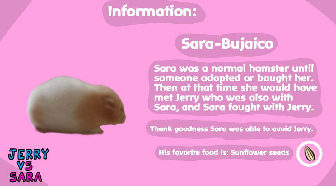 Jerry vs Sara