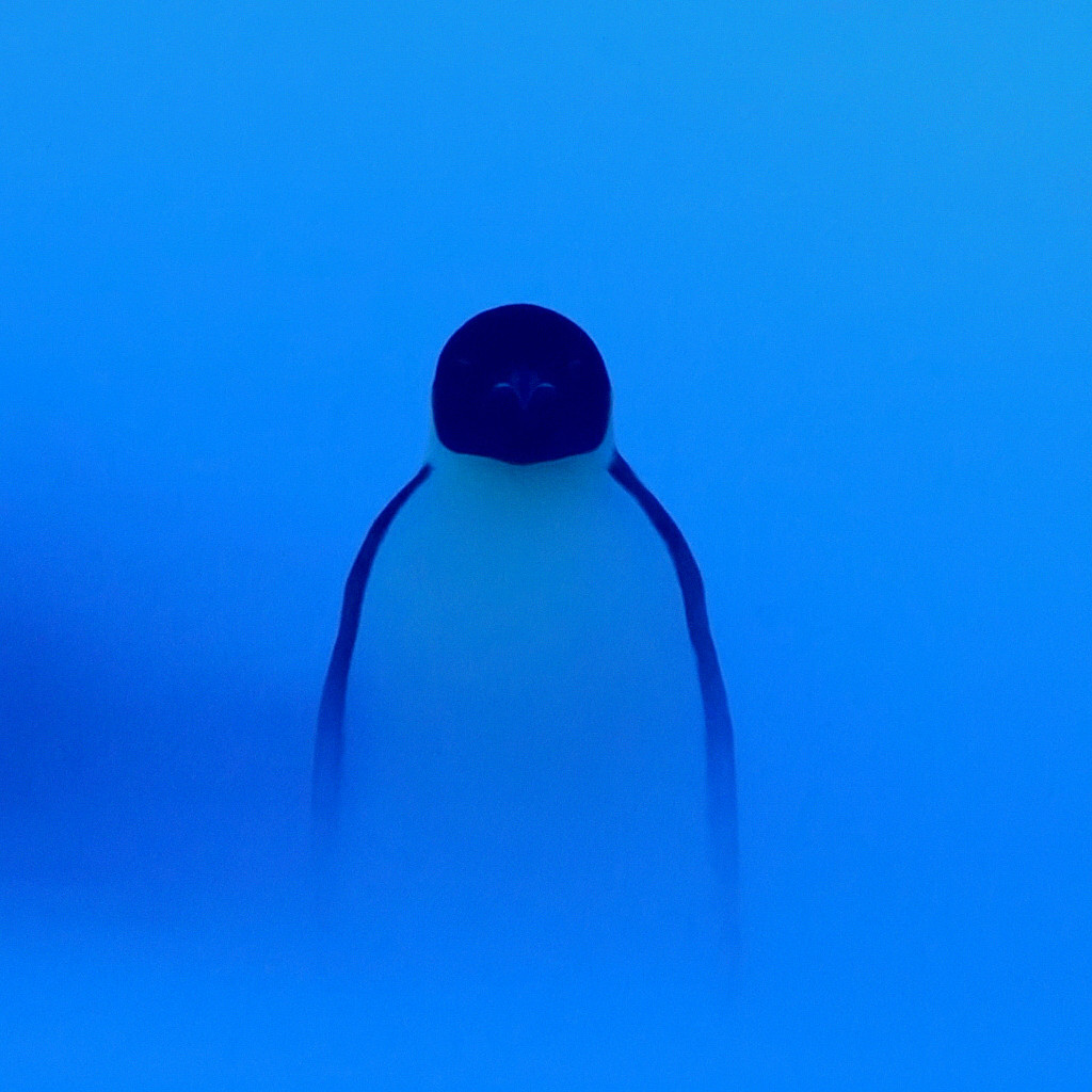 Mid Boss/Bridge Buff Timer screenshot