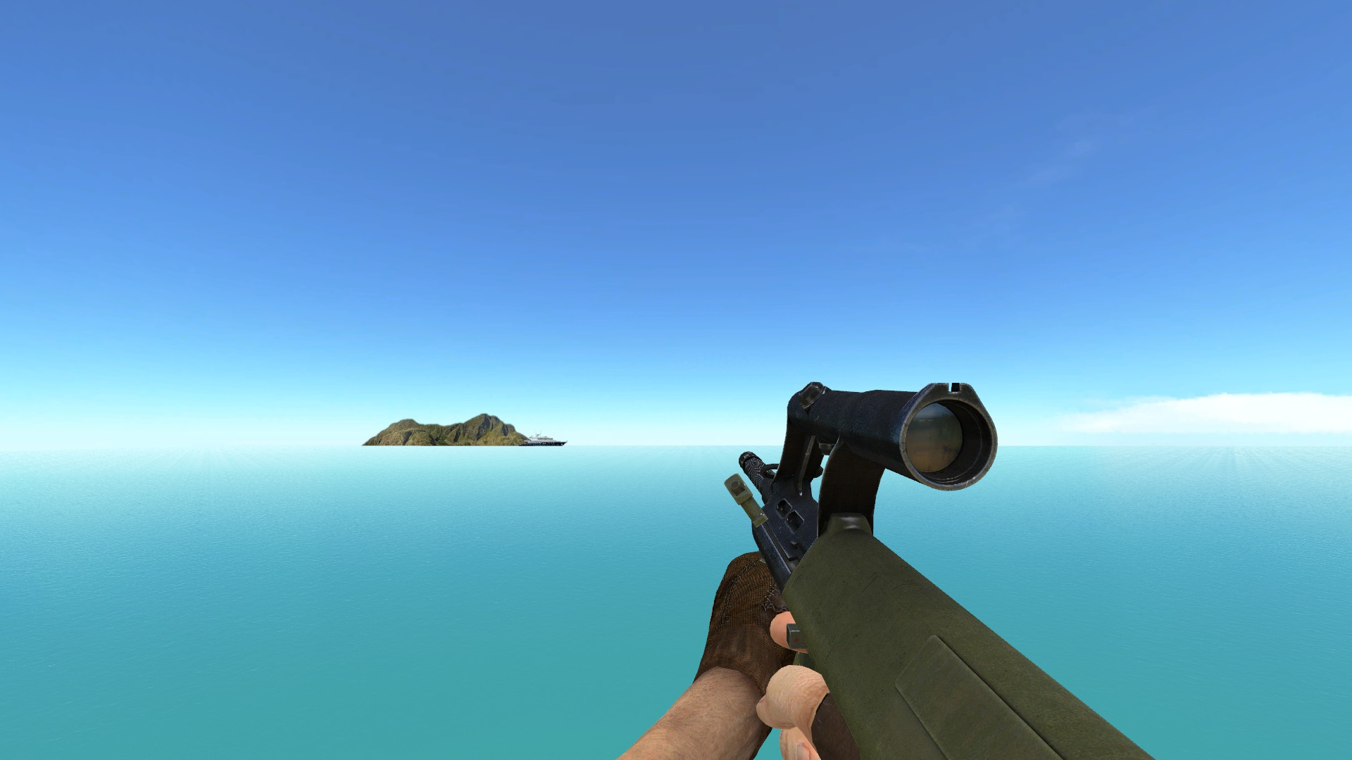 Sarvs AUG on IIopn's anims
