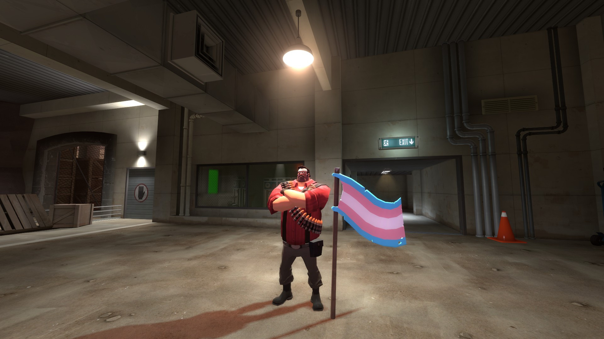 Transgender (+Others) Flying Colors Retextures Mod for Team Fortress 2 ...
