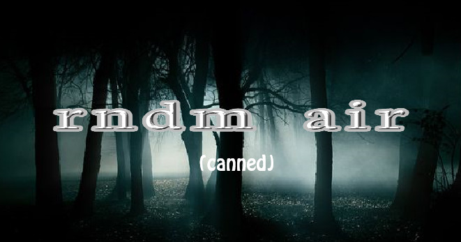 RNDM AIR' [UNFINISHED BUILD] (CANNED)