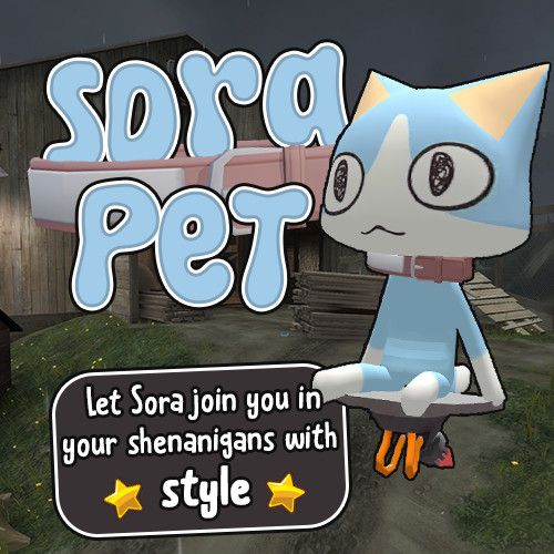 Sora Pet (The Robro 3000)