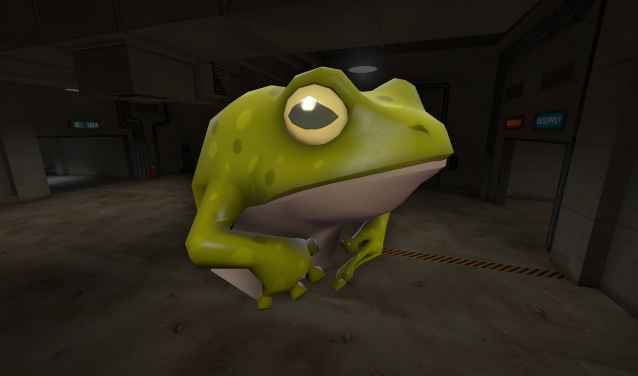 4k Uncompressed Tropical Toad