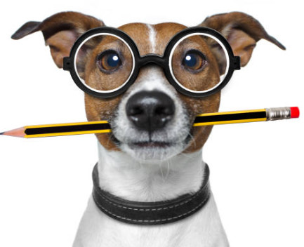 satisfaction/push push push over abrams a1 screenshot