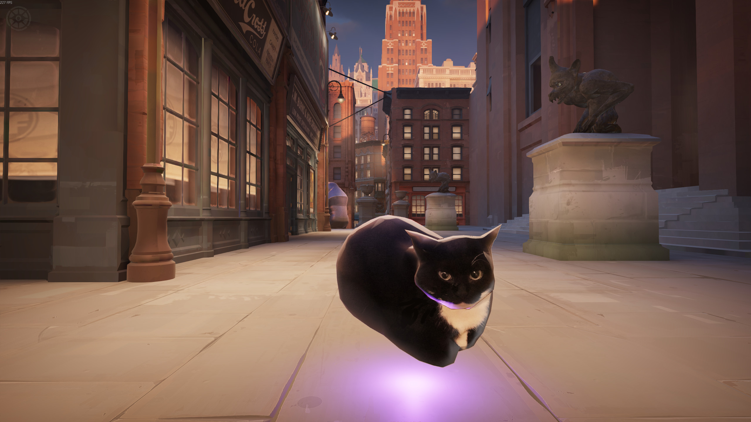 Silly Cats Ava screenshot