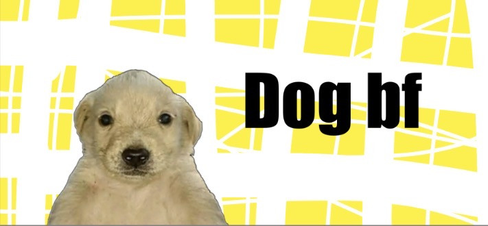 Dog bf