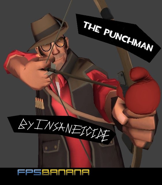 The Punchman
