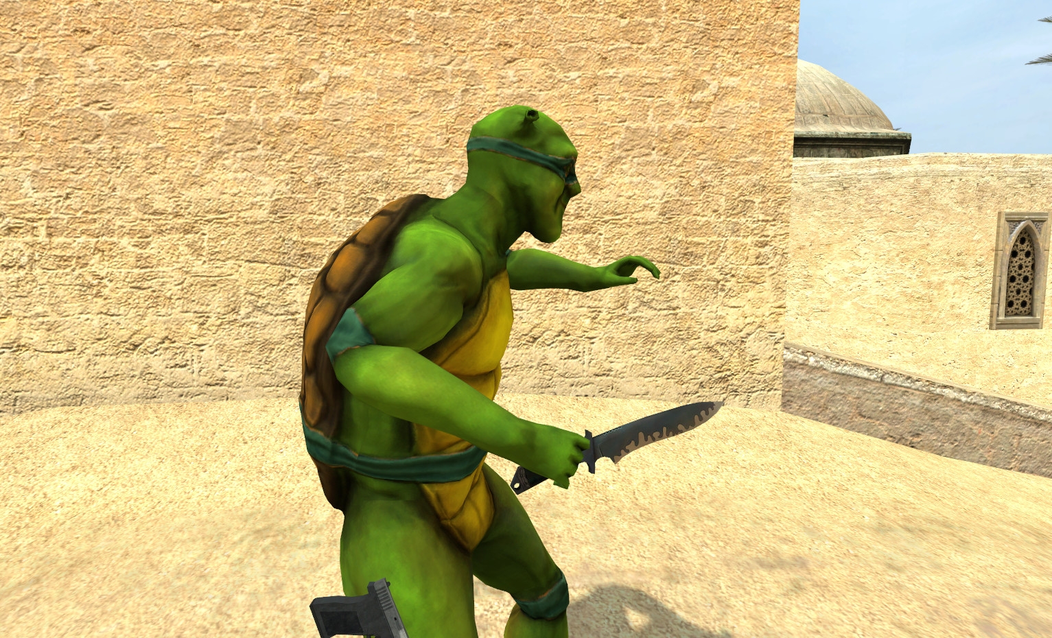 Turdle Player Model Mod for Counter-Strike: Source | CS:S Mods