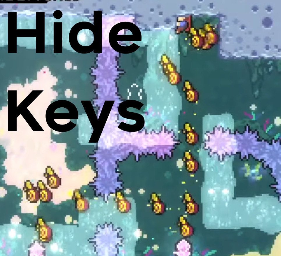 Hidden Key Counter