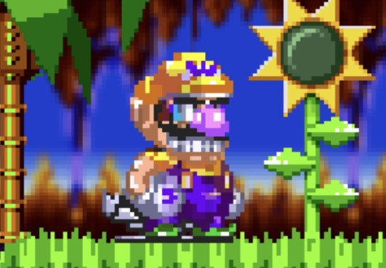 Wario