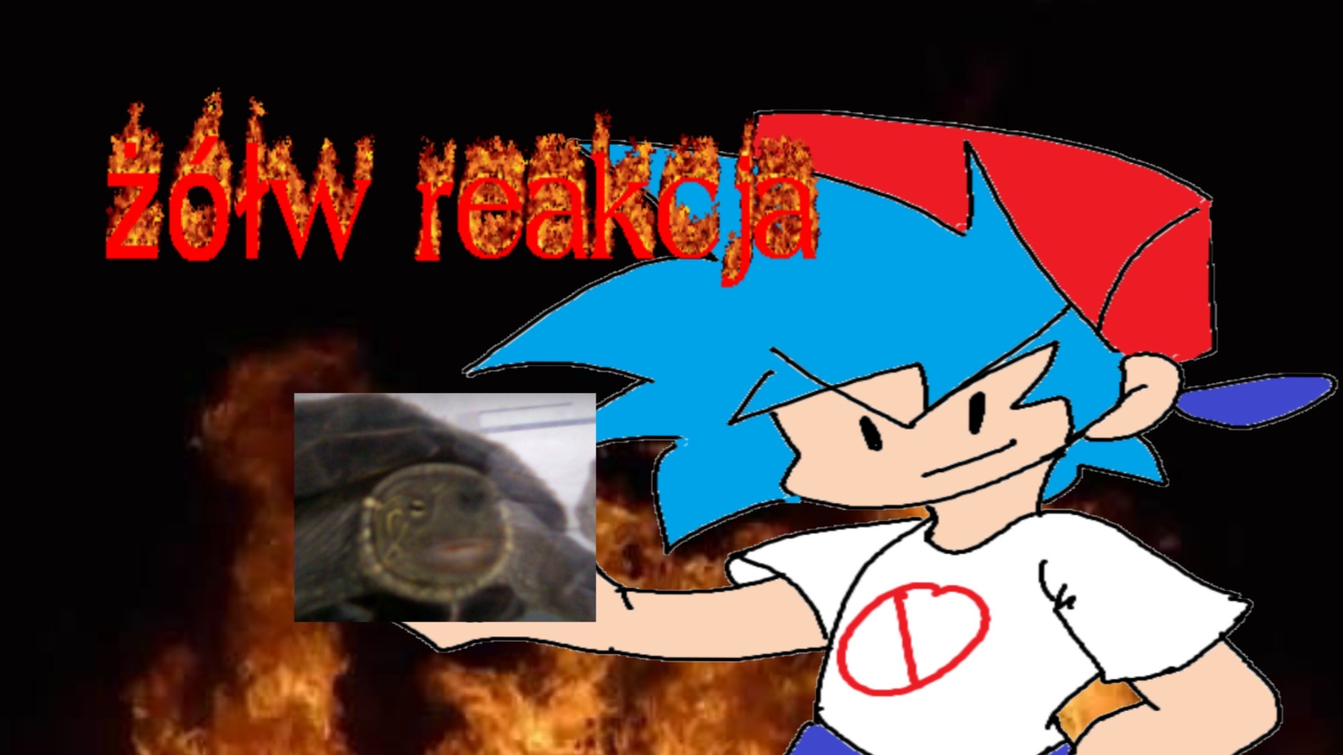 żółw reakcja (oneshot)