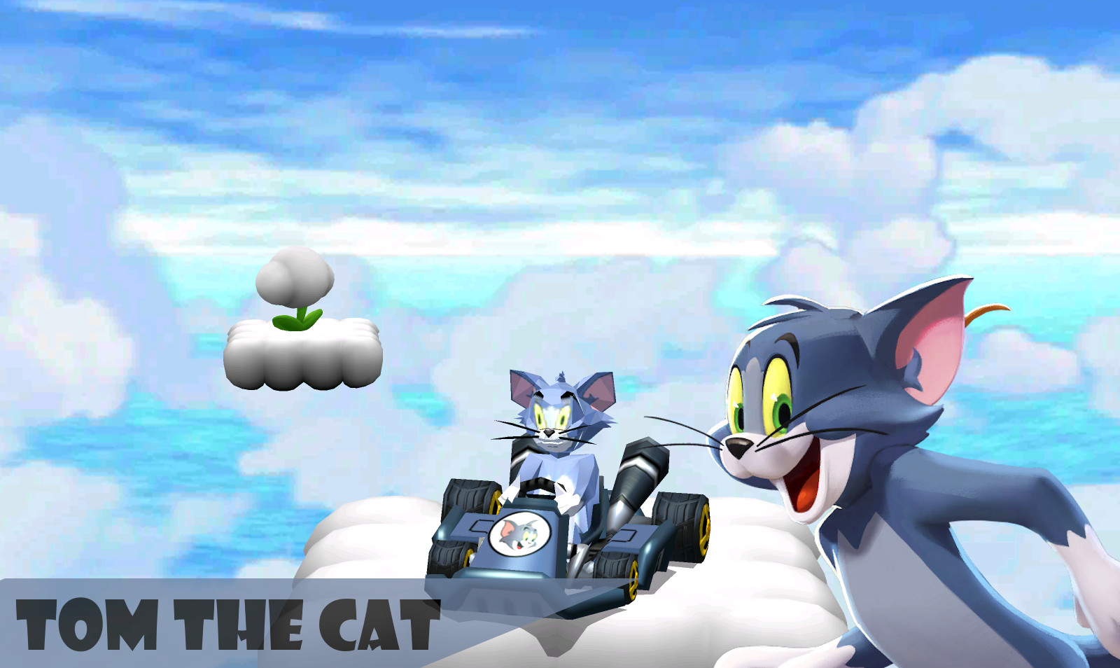 Tom the Cat Mod for Mario Kart 7 | MK7 Mods