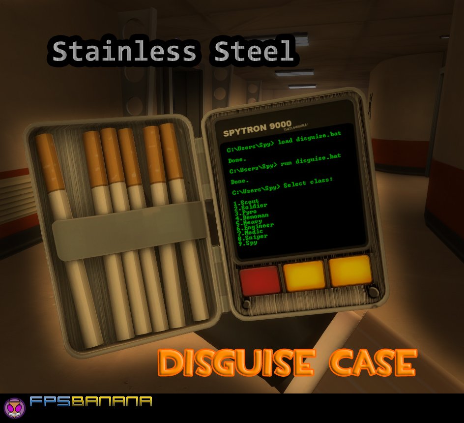 Stainless Steel Disguise Case
