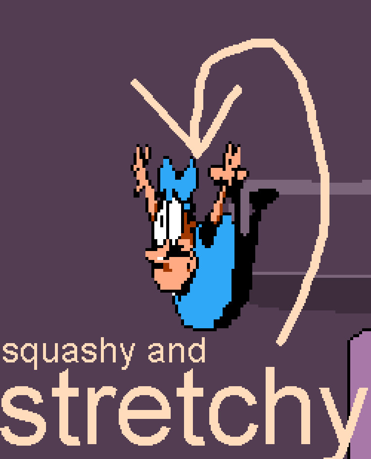 Squash N' Stretch