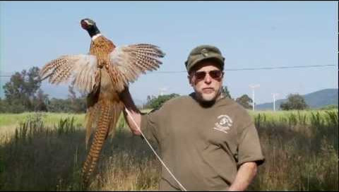 Preview 1 for Chuck Testa - Ojai Valley Taxidermy Commerical