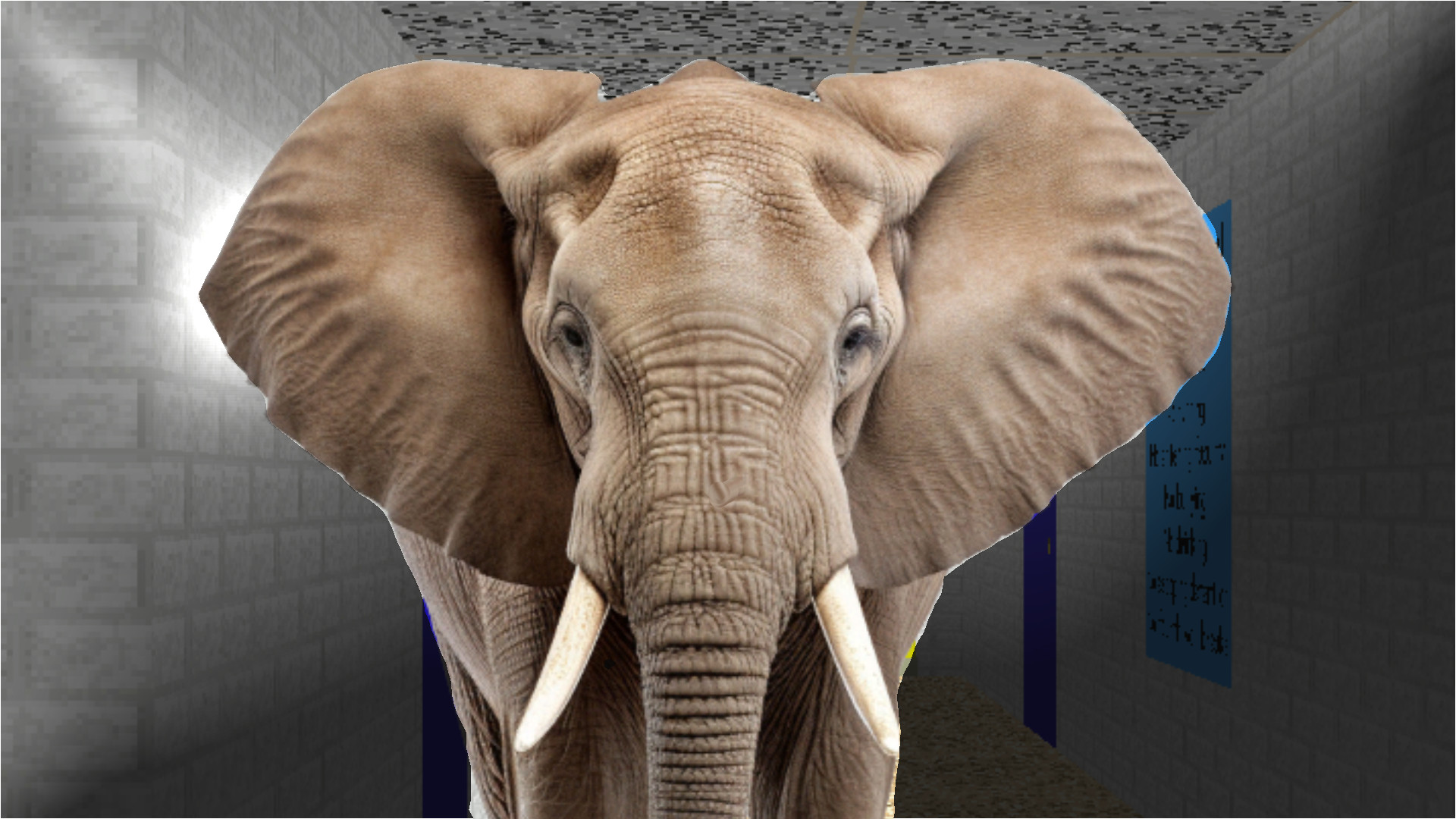 elephant