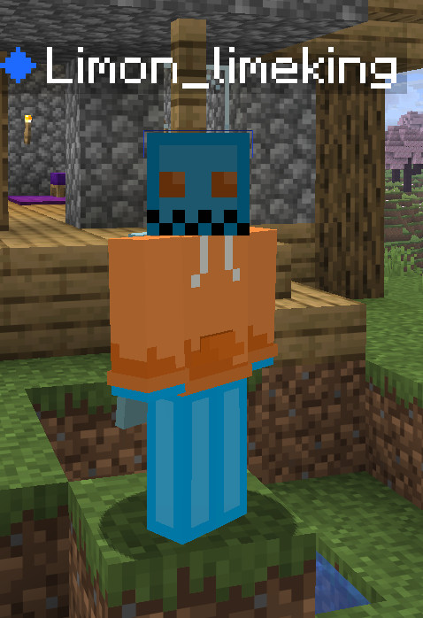 a skin for a firend Mod for Minecraft: Java Edition | MC Mods