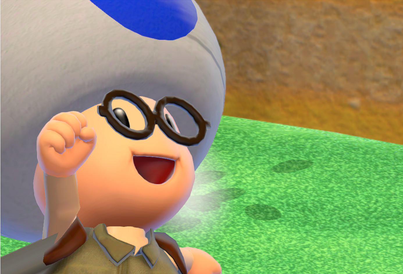 Hint Toad over Blue Toad Mod for Super Mario 3D World + Bowser's