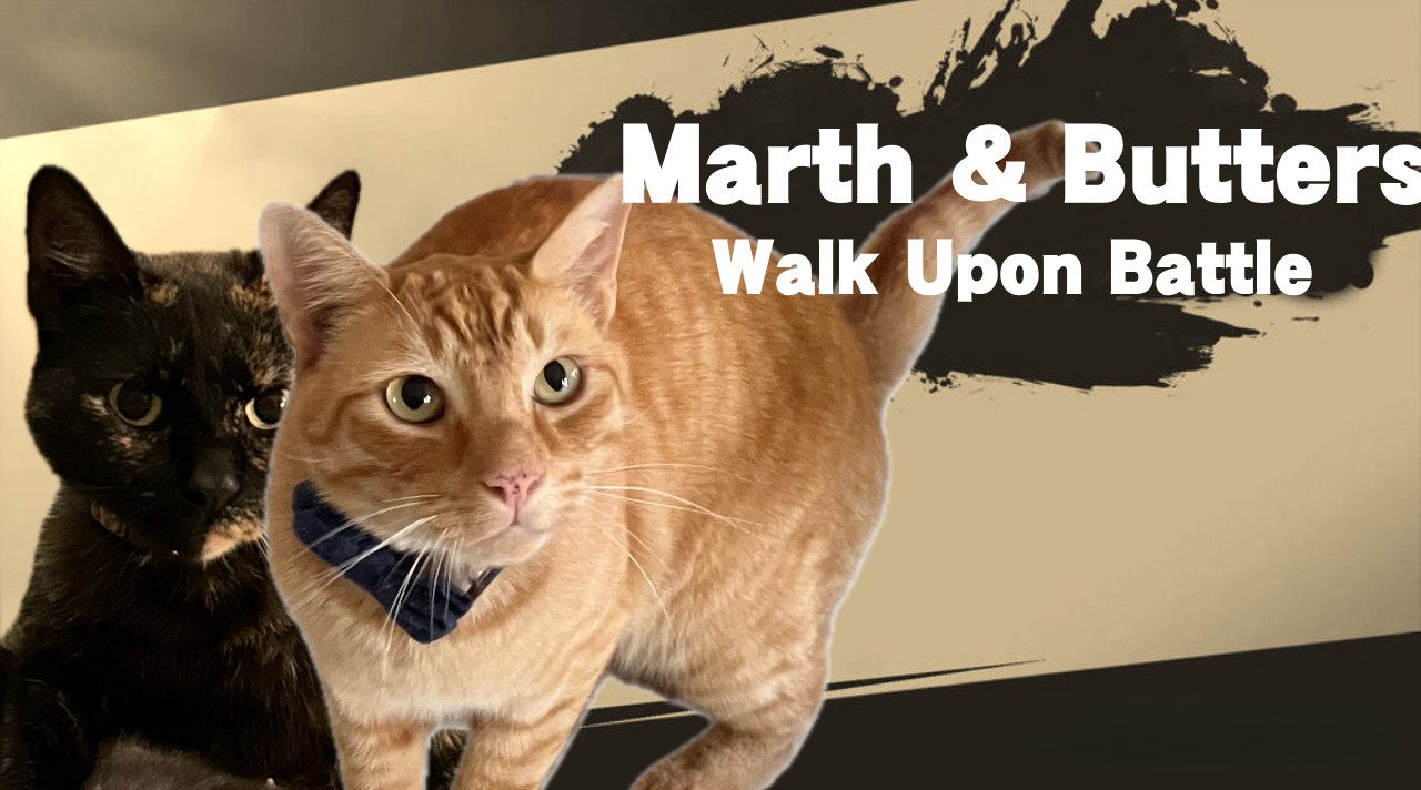 My Cats Marth and Butters as playable characters