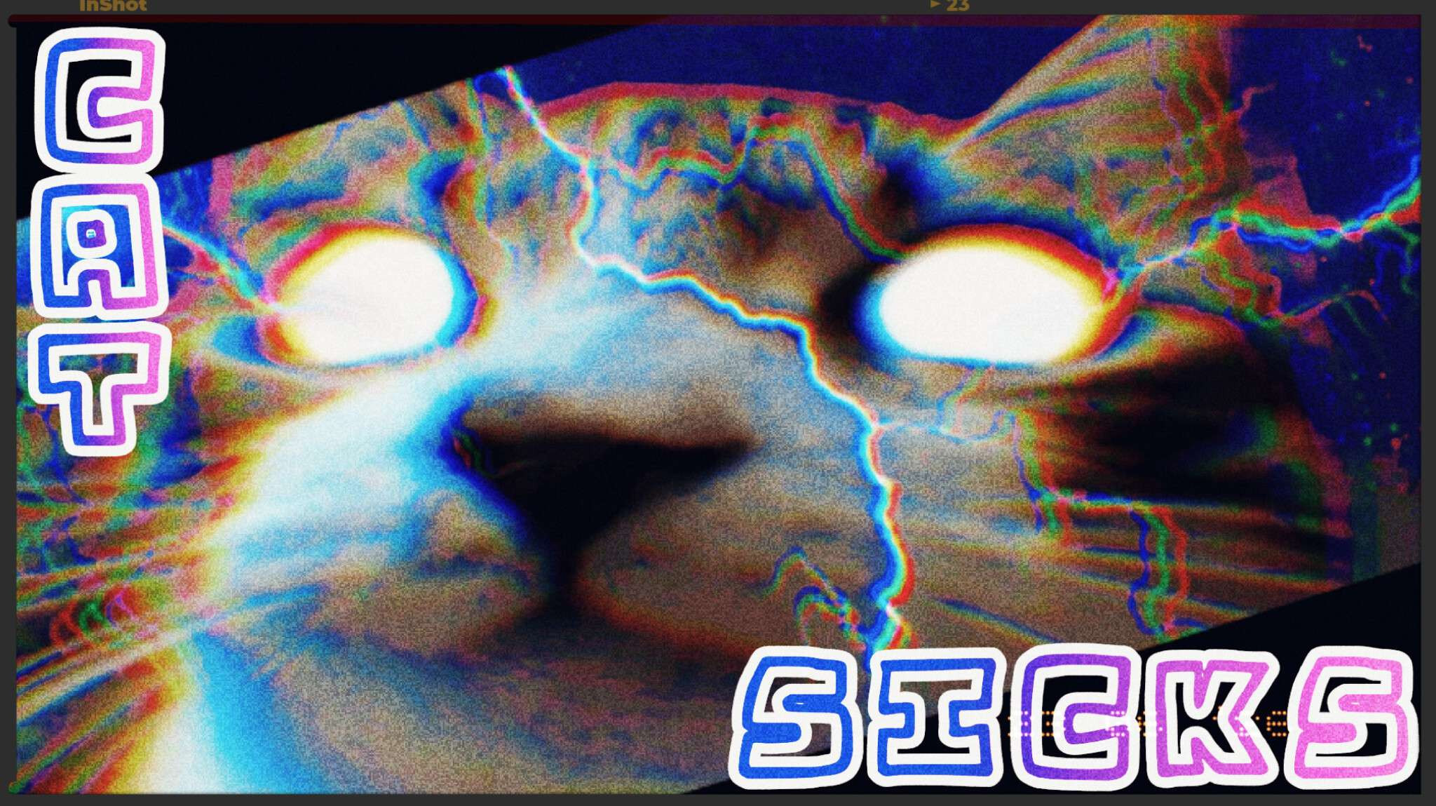 Cat sicks!!