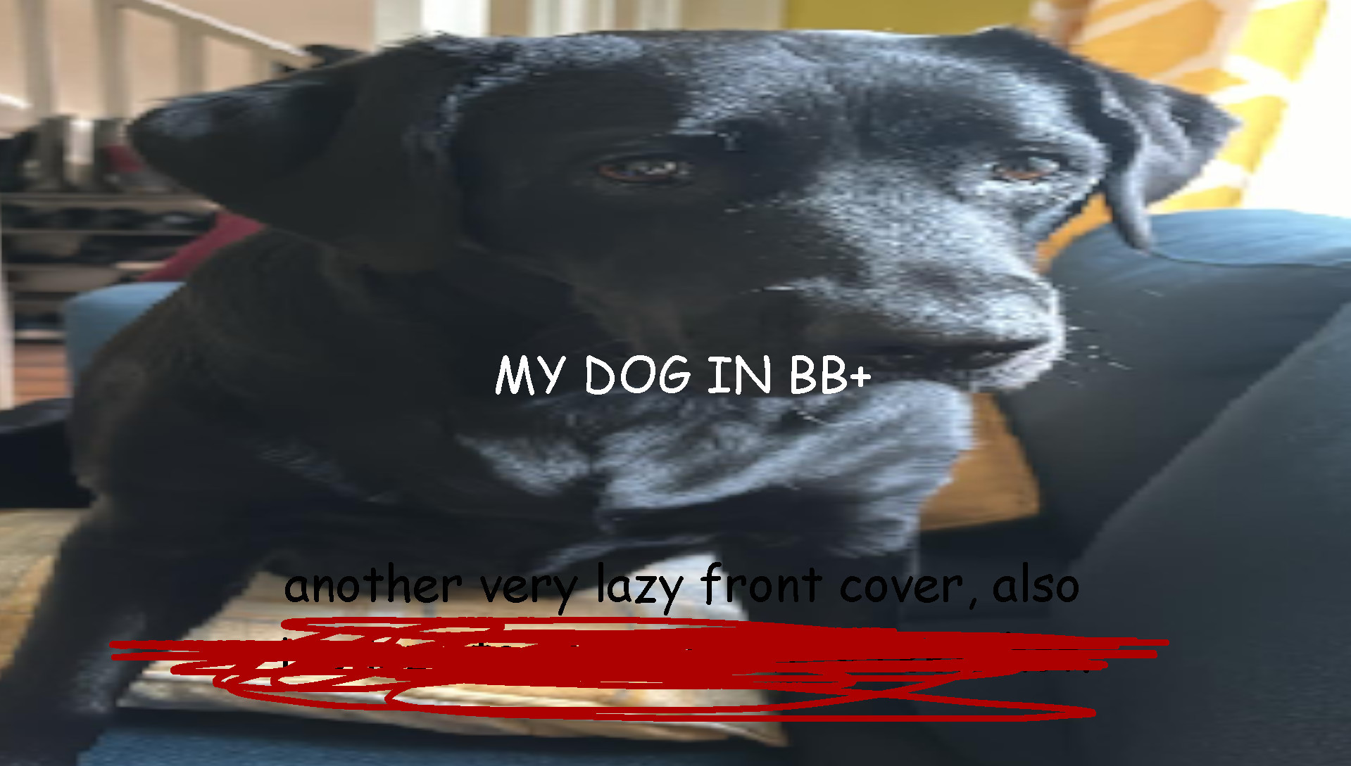 (0.14.X) My Dog In BB+
