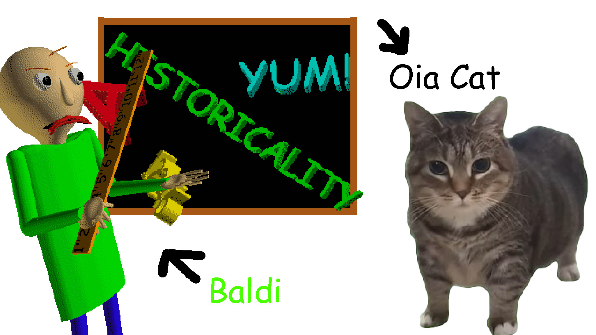 Oiia Cat Basics
