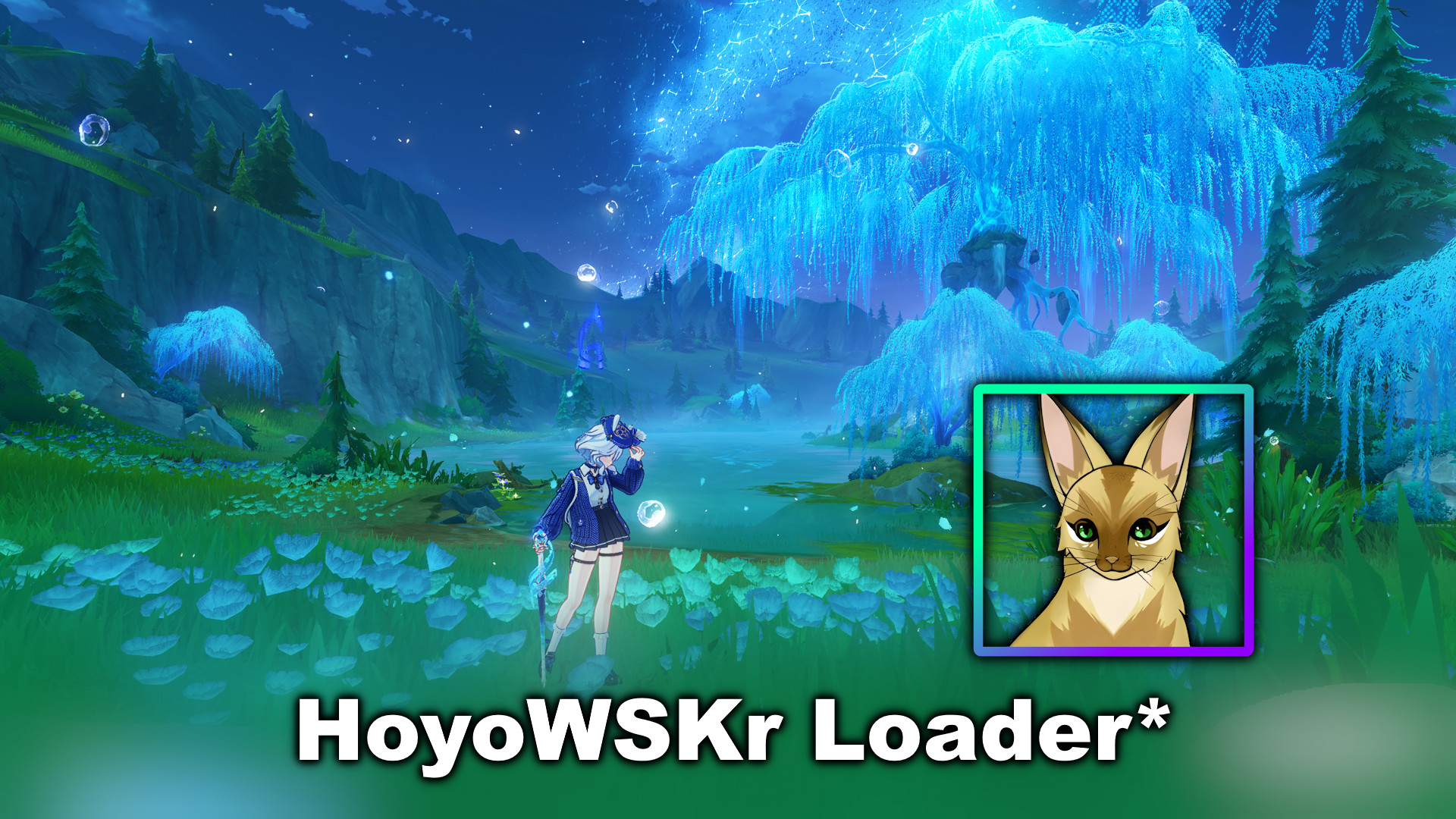 HoyoWSKr Loader