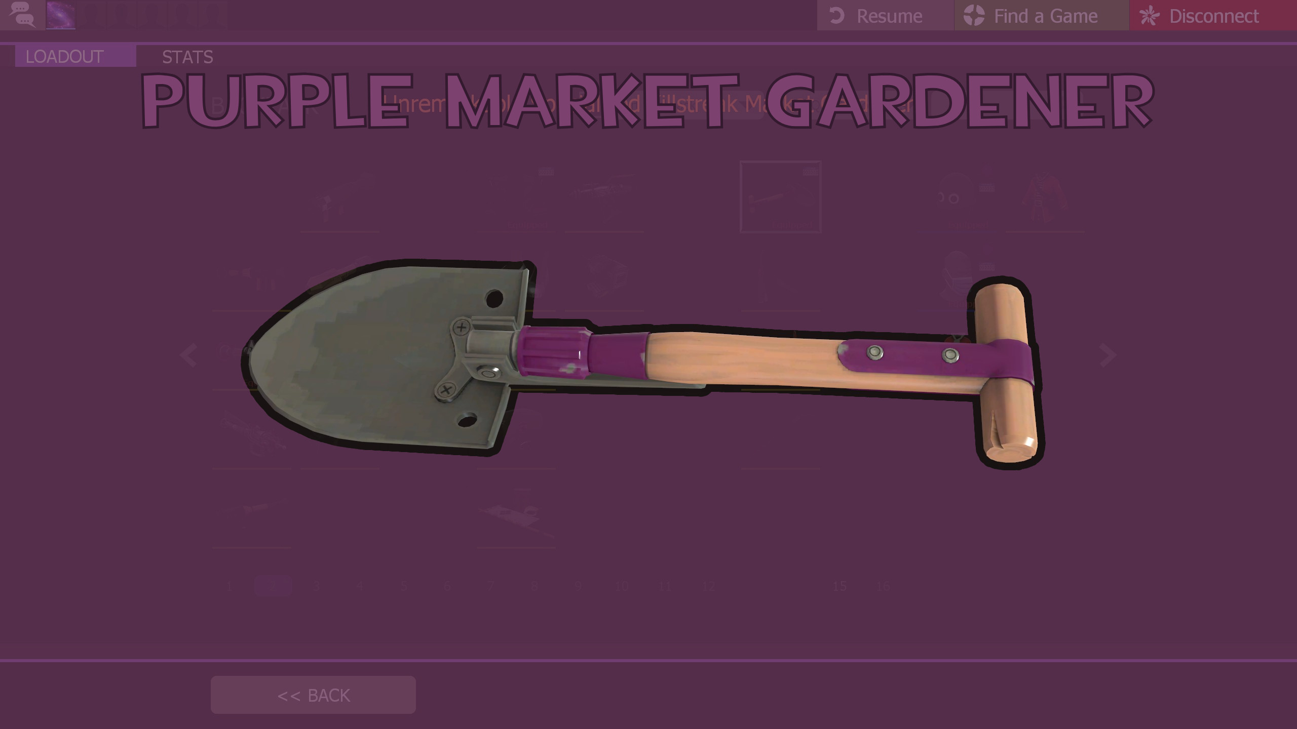 Purple Market Gardener