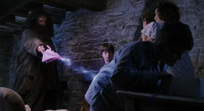 Screenshot of A visit From Hagrid | Harry Potter 1